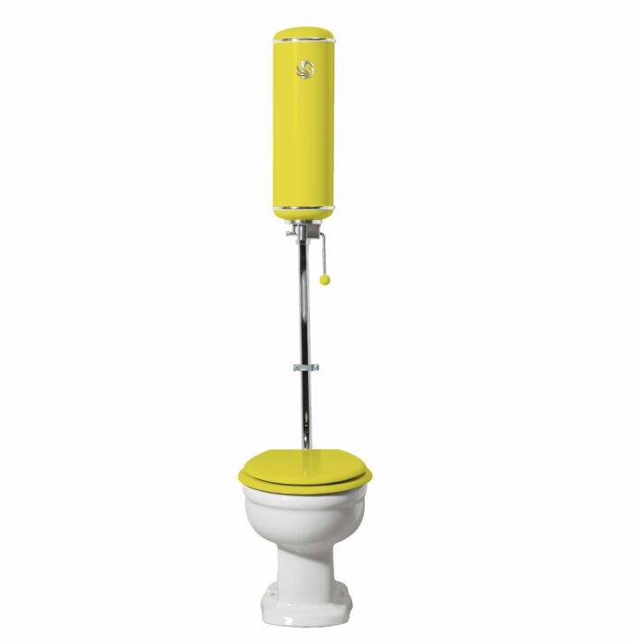 toilette-griffon-jaune